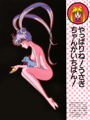 Filename=color-collection-lovely-replicant-06.jpg
Filesize=3133KiB
Dimensions=2000x2644
Date added=Feb 22, 2023 color-collection-lovely-replicant-06.jpg