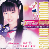Filename=pgsm_sailor_moon_04.jpg
Filesize=1043KiB
Dimensions=1200x1203
Date added=Feb 25, 2023 pgsm_sailor_moon_04.jpg