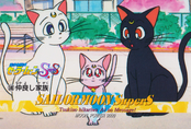 Filename=sailor-moon-supers-pp12-40.jpg
Filesize=1209KiB
Dimensions=1471x1000
Date added=Feb 04, 2023 sailor-moon-supers-pp12-40.jpg